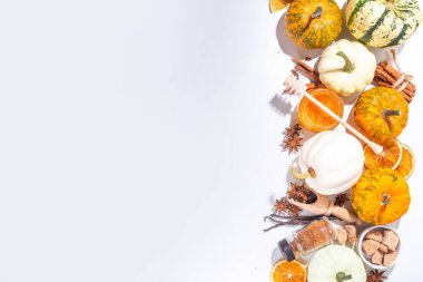 Sonbahar mevsimi balkabağı baharat pişirme ve içecekleri içme. Çeşitli renkli balkabakları, fındıklar, beyaz arka planda mevsimlik baharatlar. Balkabağı turtası, latte, sonbahar Şükran Günü için kurabiyeler.