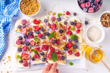 Ev yapımı donmuş yoğurt kabuğu, Yunan yoğurdundan yapılan alternatif sağlıklı keto diyeti dondurması, taze böğürtlen, fındık, granola, bal, fırın tepsisi deco. Meyve soslu donmuş yoğurt.