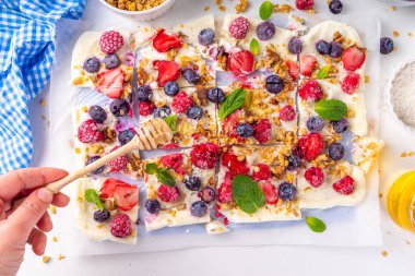 Ev yapımı donmuş yoğurt kabuğu, Yunan yoğurdundan yapılan alternatif sağlıklı keto diyeti dondurması, taze böğürtlen, fındık, granola, bal, fırın tepsisi deco. Meyve soslu donmuş yoğurt.