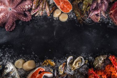 Çeşitli taze çiğ deniz ürünleri seti - ahtapot, yengeç, kalamar, karides, istiridye, midye, somon balığı limon baharatlı ton balığı, ezilmiş buzlu arka plan üst görünümü olan siyah arkaplan 