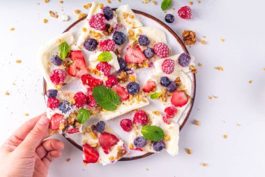 Ev yapımı donmuş yoğurt kabuğu, Yunan yoğurdundan yapılan alternatif sağlıklı keto diyeti dondurması, taze böğürtlen, fındık, granola, bal, fırın tepsisi deco. Meyve soslu donmuş yoğurt.