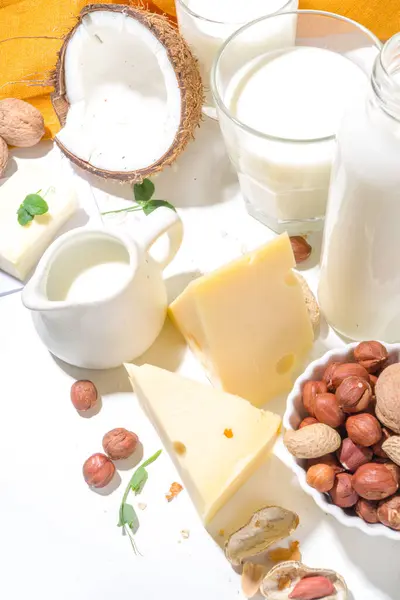 Vegan non-dairy products. Plant-based alternative dairy product  milk, cream, butter, yogurt, cheese, with ingredients - chickpea, oatmeal, rice, coconut, nut