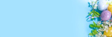 Paskalya Bayramı tebrik kartı arka planında Paskalya renkli yumurtalar, dekoratif kuş yuvaları ve çiçek açan bahar bahçesi çiçekleri, yüksek renkli mavi arka planda düz kopya alanı