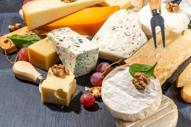 Farklı çeşit peynir seti. Çeşitli peynirli peynir tabağı, üzümlü, fındıklı, peynirli bıçak ve baharatlı, siyah kartonlu arka plan fotokopi alanı