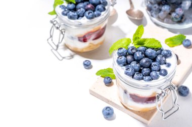 Katmanlı yaban mersinli parfe tatlı, vanilyalı bisküvili cheesecake, kremalı yoğurt, reçelli sos ve taze yaban mersini.