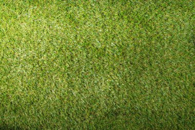 Çimen arka planı basit üst görünüm. Taze bahar çimenleri, çimenler ya da boş alan ile metin için boşluk