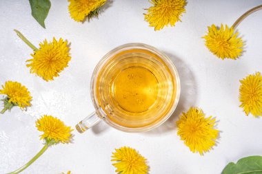 Karahindibalar bitki çayı eker. Şeffaf cam bardak ve çaydanlık, altın rengi çay içeceği, beyaz arka planda karahindiba çiçekleri ve yapraklarla.