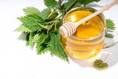 Nettle Tea sıcak bitkisi şeffaf cam bardakta içecek. Organik doğal bitkisel çay kafeinsiz, organik çiğ ısırgan otu yapraklarıyla yapılır. Alternatif bitkisel ilaç. Isırgan otu, urtica.