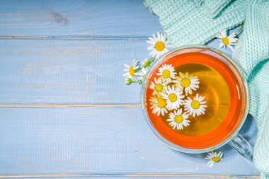 Bir fincan papatya çayı, papatya buketi, mavi ahşap arka plan fotokopi alanı. Bitkisel organik soğuk içecek.