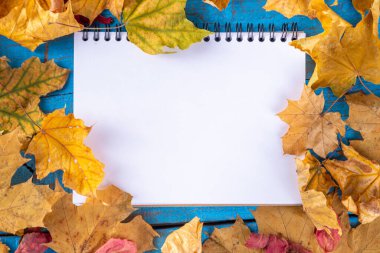 Sonbahar geliyor, sonbahar yükleme arka planı. Sarı, turuncu, kırmızı sonbahar yaprakları parlak turkuaz mavi ahşap masa, üst görünüm sınır arkaplan fotokopi alanı