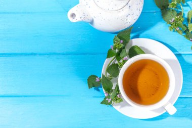 Beyaz fincanda sağır ısırgan otu çayı, ölü ısırgan otu filizi demeti ve çay demliği, kopyalama alanı