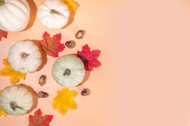 Sonbahar dekoratif balkabakları ve bej arka planda sonbahar yaprakları. Sonbahar Şükran Günü Cadılar Bayramı tebrik kartı geçmişi, hasat konsepti. Üst görünüm, alanı kopyala