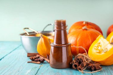 Ev yapımı tatlı balkabağı şurubu küçük şişede tarçın, baharat ve çiğ balkabağı kabağı, kopyalama alanı