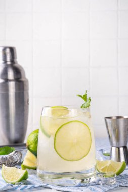 Yaz soğuk limonata kokteyli, limonlu soğuk alkol ya da alkolsüz içecek, naneli buz küpleri, fotokopi alanı.