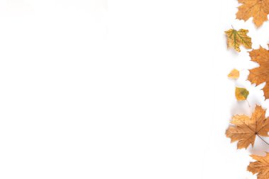 Sonbahar yaprakları ve balkabakları beyaz arka planda yatıyordu. Sonbahar tatilleri, Şükran Günü, davetiye, tebrik kartı arkaplan şablonu, sınır fotokopi alanı olan üst manzara