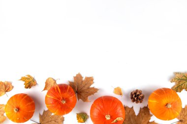 Sonbahar yaprakları ve balkabakları beyaz arka planda yatıyordu. Sonbahar tatilleri, Şükran Günü, davetiye, tebrik kartı arkaplan şablonu, sınır fotokopi alanı olan üst manzara