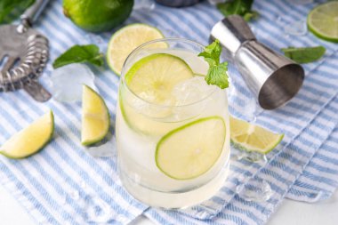 Yaz soğuk limonata kokteyli, limonlu soğuk alkol ya da alkolsüz içecek, naneli buz küpleri, fotokopi alanı.