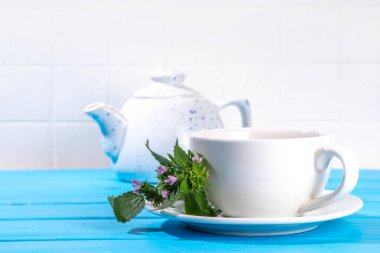 Beyaz fincanda sağır ısırgan otu çayı, ölü ısırgan otu filizi demeti ve çay demliği, kopyalama alanı