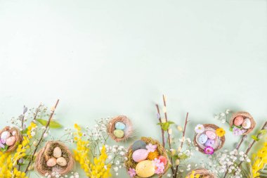 Paskalya yuvaları ve bahar çiçekli yumurtalar, Mutlu Paskalya bayramı tebrik kartları açık yeşil bahar arka planında yatıyordu, üst görünüm kopyalama alanı