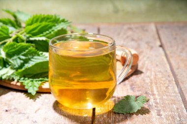 Nettle Tea sıcak bitkisi şeffaf cam bardakta içecek. Organik doğal bitkisel çay kafeinsiz, organik çiğ ısırgan otu yapraklarıyla yapılır. Alternatif bitkisel ilaç. Isırgan otu, urtica.