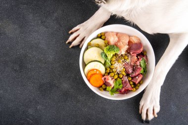 BARF (biyolojik olarak uygun çiğ besin) yiyecek konsepti, evcil hayvanlar için sağlıklı kase ve köpek pençesi resmi. Çiğ et, tavuk, balık, sebze, yulaf