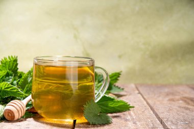 Nettle Tea sıcak bitkisi şeffaf cam bardakta içecek. Organik doğal bitkisel çay kafeinsiz, organik çiğ ısırgan otu yapraklarıyla yapılır. Alternatif bitkisel ilaç. Isırgan otu, urtica.