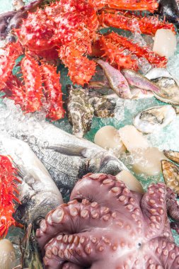 Çeşitli taze çiğ deniz ürünleri seti - ahtapot, yengeç, kalamar, karides, istiridye, midye, somon balığı limon baharatlı ton balığı, açık mavi arka plan, ezilmiş buzlu fotokopi alanı 