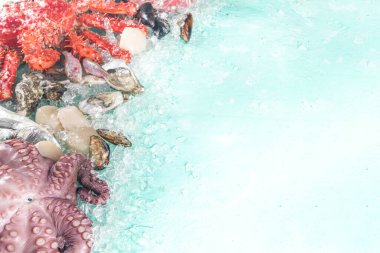 Çeşitli taze çiğ deniz ürünleri seti - ahtapot, yengeç, kalamar, karides, istiridye, midye, somon balığı limon baharatlı ton balığı, açık mavi arka plan, ezilmiş buzlu fotokopi alanı 