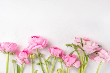 Ranunculus, söğüt, mimoza ve beyaz arka planda çingeneler. Bahar tatili geçmişi, mutlu yıllar Anneler Günü, 8 Mart Uluslararası Kadınlar Günü tebrik kartı geçmişi