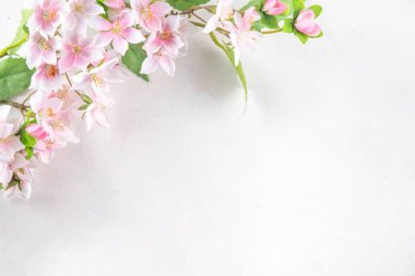 Paskalya bayramı sofrası, çatal bıçak takımı, tabak, bahar ağacı dalları, Paskalya yumurtası ve yuva süsü, beyaz masa arkası fotokopi alanı. Paskalya yemeği daveti, menü geçmişi