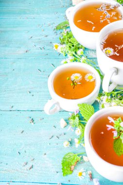 Farklı bitkisel çay seti. Çeşitli fincanlar, organik bitki çayı, papatya çayı, hindiba, nane şekeri, lavanta. Organik doğal içecek konsepti. Sağlık ve dokunulmazlık içecekleri