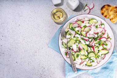 Süzme peynirli yüksek proteinli sebze salatası. Salatalık ve turplu taze peynirli salata, kopyalama alanı.