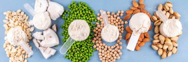 Çeşitli kaynak vegan protein tozları. Vejetaryen bitki bazlı protein tozu ve içeriği - yeşil bezelye, soya fasulyesi, badem, şam fıstığı, fıstık, Hindistan cevizi, bakla.  