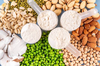 Çeşitli kaynak vegan protein tozları. Vejetaryen bitki bazlı protein tozu ve içeriği - yeşil bezelye, soya fasulyesi, badem, şam fıstığı, fıstık, Hindistan cevizi, bakla.  