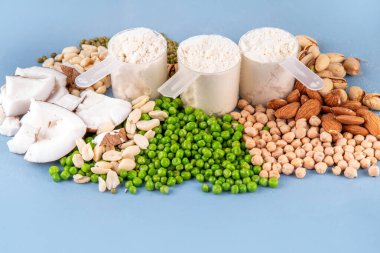 Çeşitli kaynak vegan protein tozları. Vejetaryen bitki bazlı protein tozu ve içeriği - yeşil bezelye, soya fasulyesi, badem, şam fıstığı, fıstık, Hindistan cevizi, bakla.  