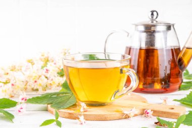 Organik doğal kestane yaprakları ve çiçek çayı. Sıcak alternatif kafeinsiz bitkisel içecek, lezzetli sağlıklı içecek, beyaz ahşap arka planda fotokopi alanı.
