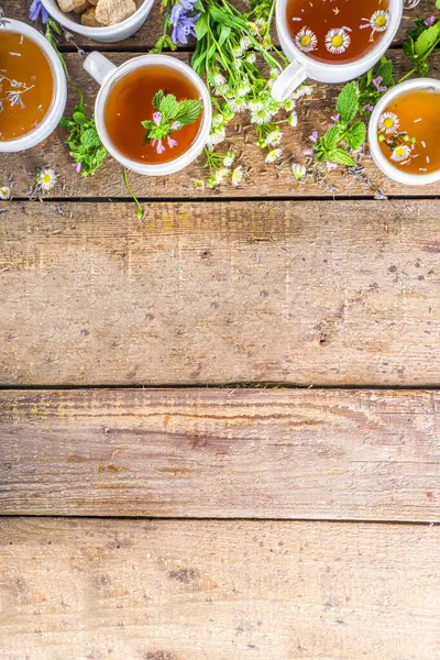 Farklı bitkisel çay seti. Çeşitli fincanlar, organik bitki çayı, papatya çayı, hindiba, nane şekeri, lavanta. Organik doğal içecek konsepti. Sağlık ve dokunulmazlık içecekleri