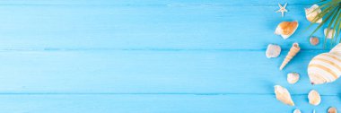 Deniz kabukları ve deniz yıldızlarıyla basit bir düzen. Yaz indirimi, tatil ve seyahat arkaplanı, satılık sınır, davet, üst görünüm kopya alanı