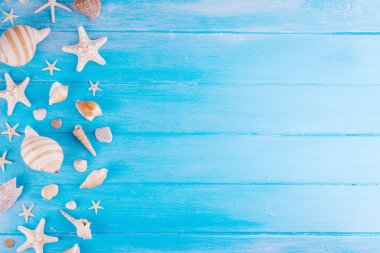 Deniz kabukları ve deniz yıldızlarıyla basit bir düzen. Yaz indirimi, tatil ve seyahat arkaplanı, satılık sınır, davet, üst görünüm kopya alanı