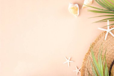 Yaz tatili ve hasır şapkalı, çantalı, terlikli, palmiye yapraklı, güneş gözlüklü, kameralı, deniz kabuklu ve okyanus yıldızlı tatil geçmişi. Plaj ve tropikal yaz tatili arka planı, üst görünüm kopyalama alanı
