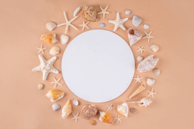 Deniz kabukları ve deniz yıldızlarıyla basit bir düzen. Yaz indirimi, tatil ve seyahat arkaplanı, satılık sınır, davet, üst görünüm kopya alanı