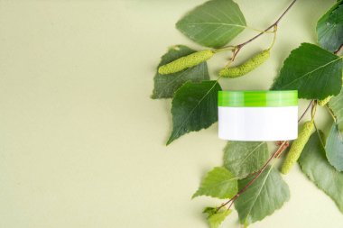 Birch Juice dondurması, Nemlendirici ve bitkisel organik yüz kozmetiği temizleyici jel seti. Huş ağacı özlü doğal cilt bakımı, farklı kozmetik ürünlerinde açık yeşil arka planda sahte kavanozlar.