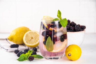 Dut limonata ya da mojito kokteyli, limonlu, naneli ve bir sürü taze dutlu soğuk, ferahlatıcı yaz içeceği.