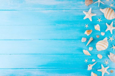 Deniz kabukları ve deniz yıldızlarıyla basit bir düzen. Yaz indirimi, tatil ve seyahat arkaplanı, satılık sınır, davet, üst görünüm kopya alanı