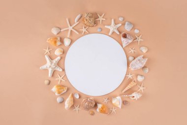 Deniz kabukları ve deniz yıldızlarıyla basit bir düzen. Yaz indirimi, tatil ve seyahat arkaplanı, satılık sınır, davet, üst görünüm kopya alanı