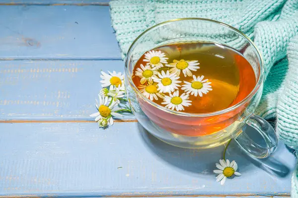 Bir fincan papatya çayı, papatya buketi, mavi ahşap arka plan fotokopi alanı. Bitkisel organik soğuk içecek.