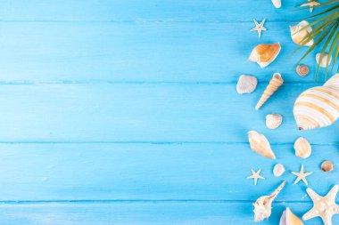 Deniz kabukları ve deniz yıldızlarıyla basit bir düzen. Yaz indirimi, tatil ve seyahat arkaplanı, satılık sınır, davet, üst görünüm kopya alanı