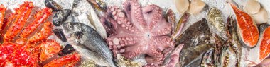 Çeşitli taze çiğ deniz ürünleri seti - ahtapot, yengeç, mürekkep balığı, karides, istiridye, midye, somon balığı limon baharatlı ton balığı, ezilmiş buzlu arka plan üst görünüm 