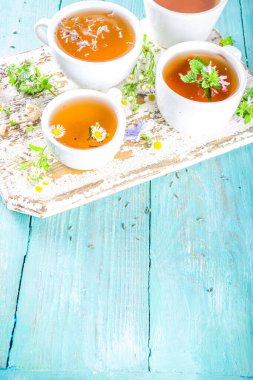 Farklı bitkisel çay seti. Çeşitli fincanlar, organik bitki çayı, papatya çayı, hindiba, nane şekeri, lavanta. Organik doğal içecek konsepti. Sağlık ve dokunulmazlık içecekleri