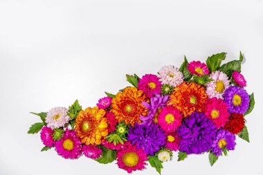 Sonbahar çiçekleri düz zemin. Renkli kasımpatı buketi, şakayıklar (turuncu, mor, sarı, kırmızı) beyaz arka planda çiçekler, tebrik kartı üst görünümü için çerçeve sınırı metin görünümü için kopya alanı